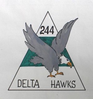 Vietnam Helicopter insignia and artifacts - 244th Assault Helicopter ...