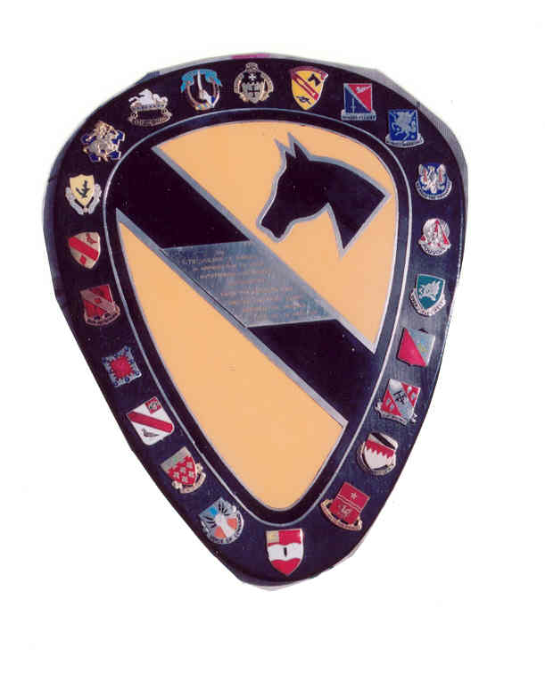 1st Cavalry Division DUSTOFF Air Ambulance patch 